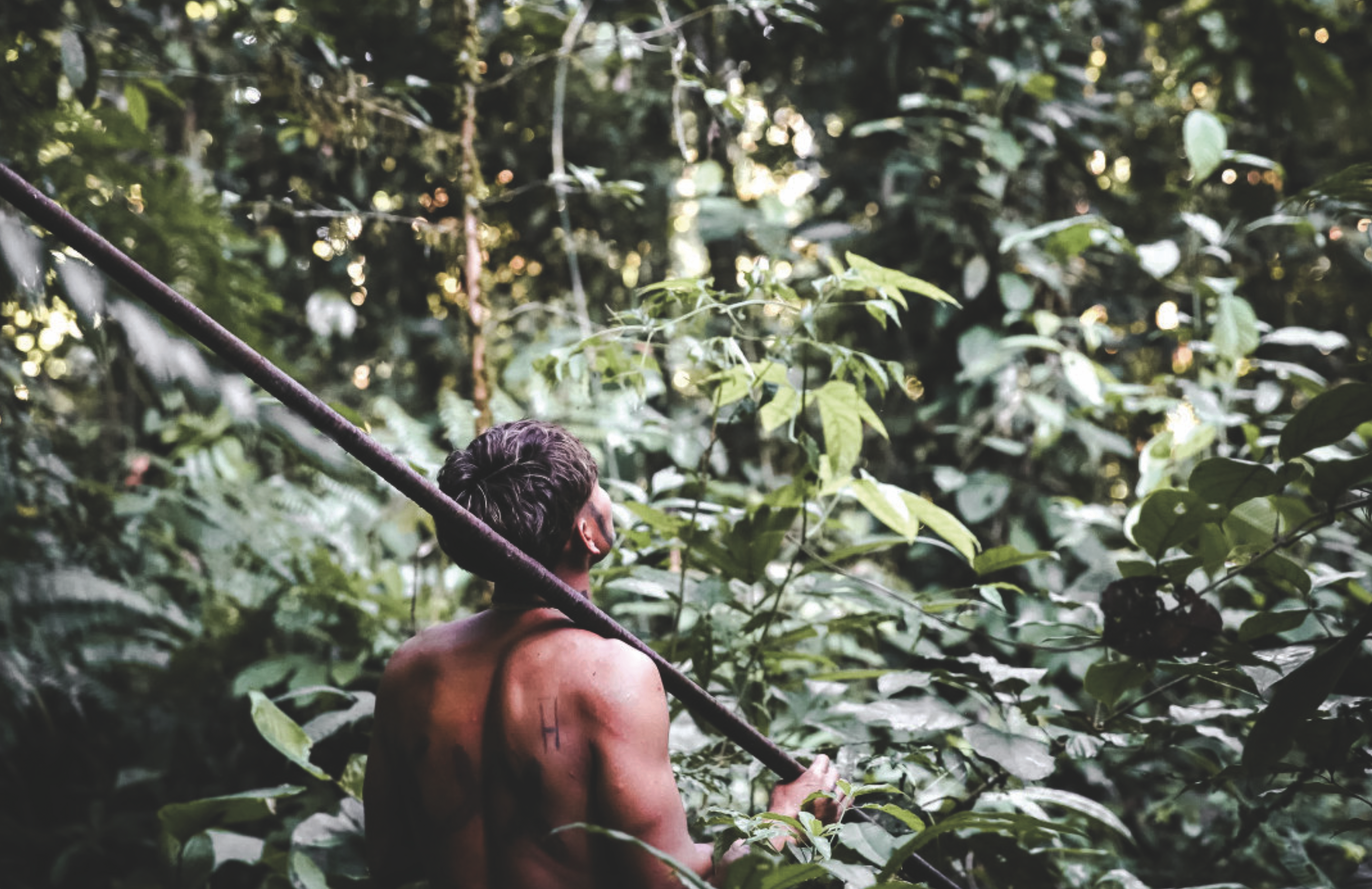 CINÉ-CONFÉRENCE : Amazonie, Waorani, à l