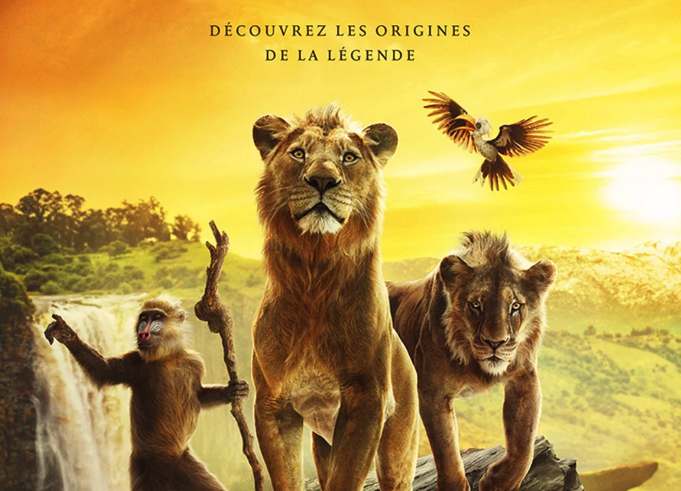 MUFASA : LE ROI LION Du 29 janv au 2 fév 2025